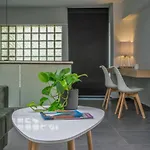 Zen Central Luxury Apartment
